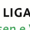 Logo Rheuma Liga Niedersachsen eV