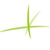 Logo Pflanzen-Forum GmbH