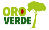 Logo OroVerde - Die Tropenwaldstiftung